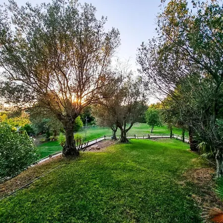 Holiday home Flh Lux Balsa With Pool Tavira